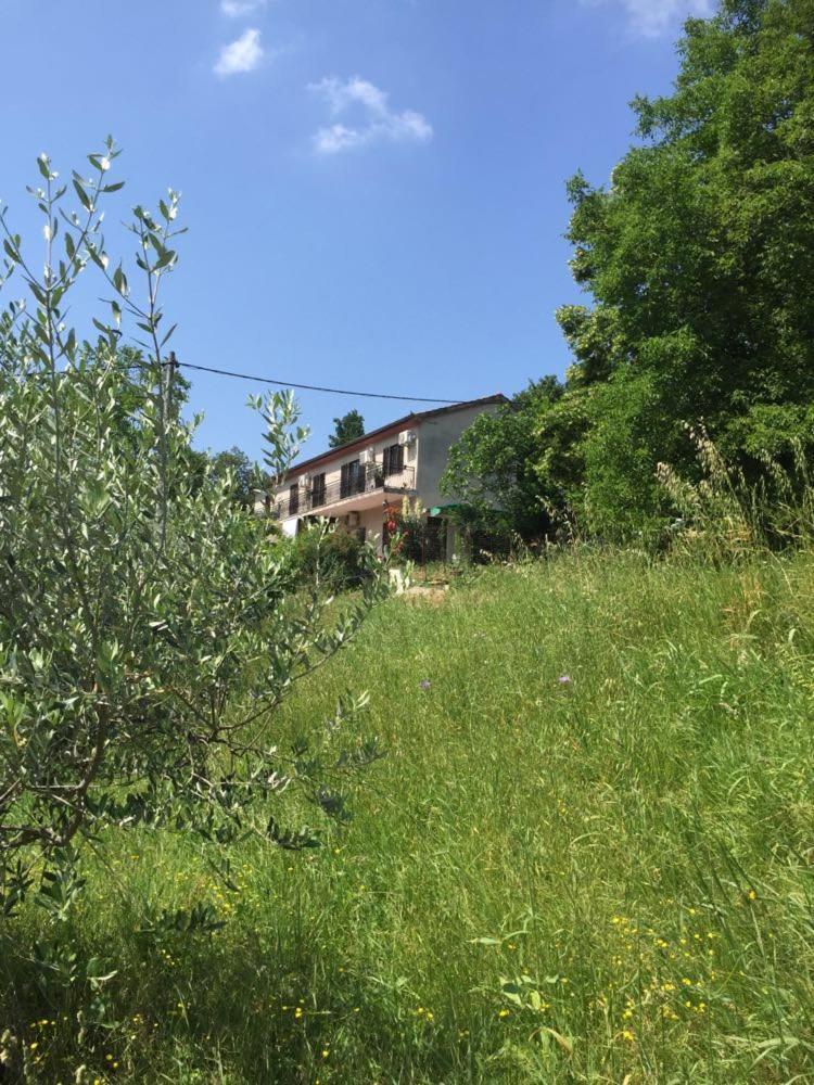 Apartment Cimbora, Salara Farmhouse Koper Exterior photo